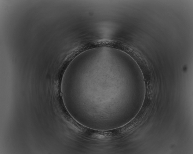 X0000095690563200801151151