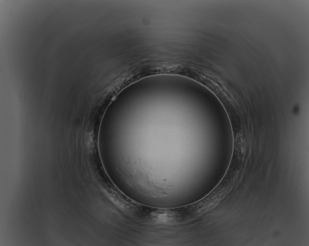 X0000095690564200801151151