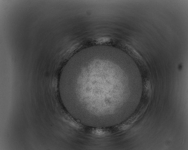 X0000095690565200801151151