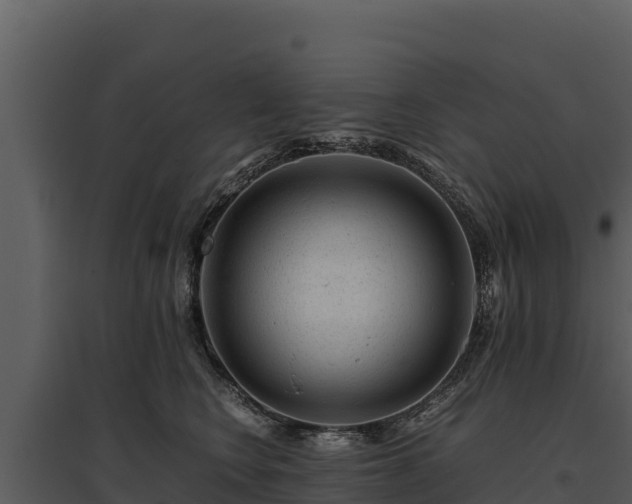 X0000095690566200801151151