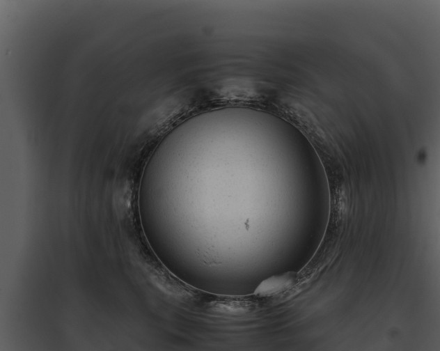 X0000095690567200801151151