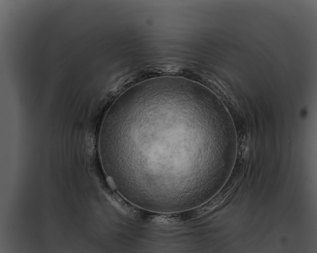 X0000095690568200801151151