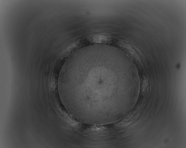 X0000095690569200801151151