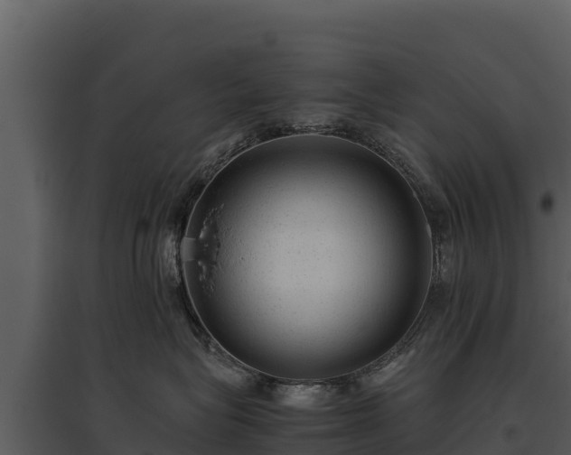 X0000095690575200801151151