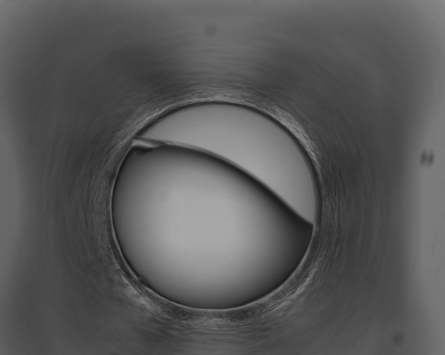 X0000095690577200801151150