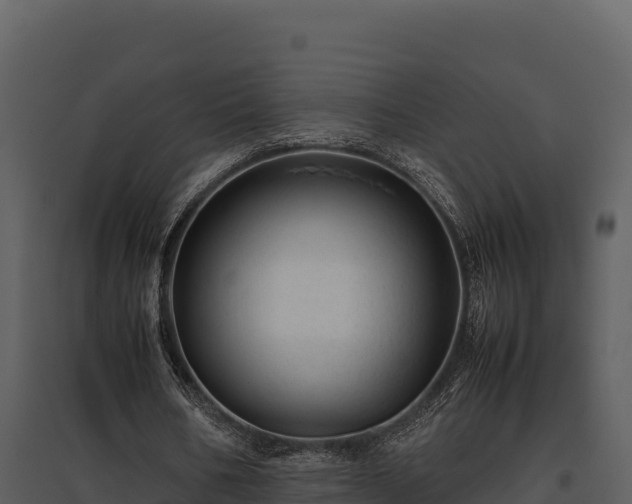 X0000095690578200801151150