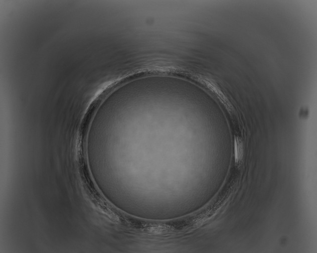 X0000095690579200801151150