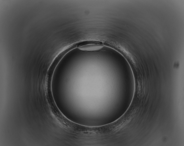 X0000095690580200801151150