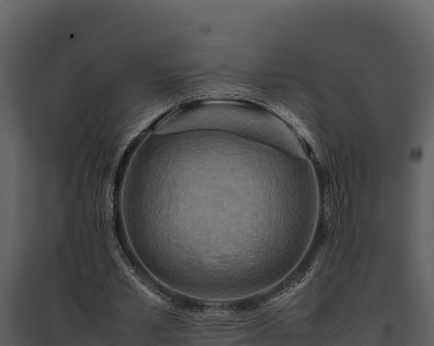 X0000095690581200801151150