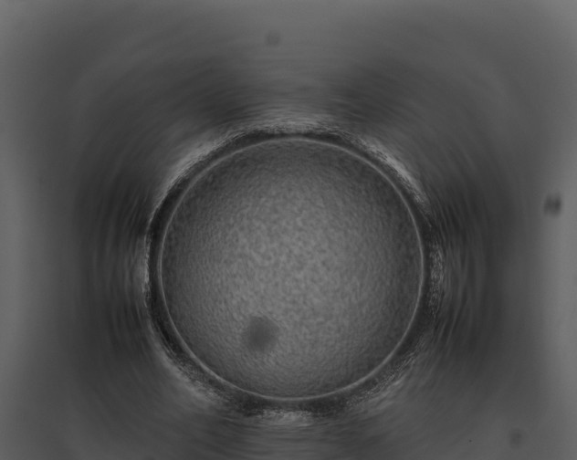 X0000095690582200801151150