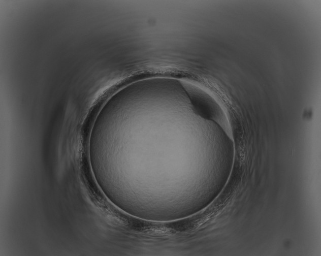 X0000095690583200801151150