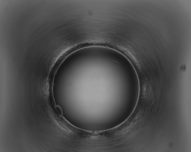 X0000095690584200801151150