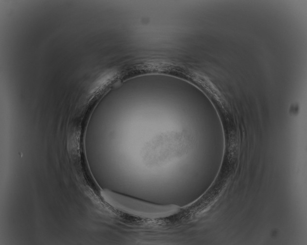 X0000095690585200801151150