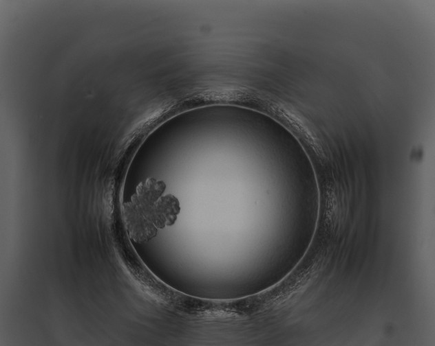 X0000095690586200801151150