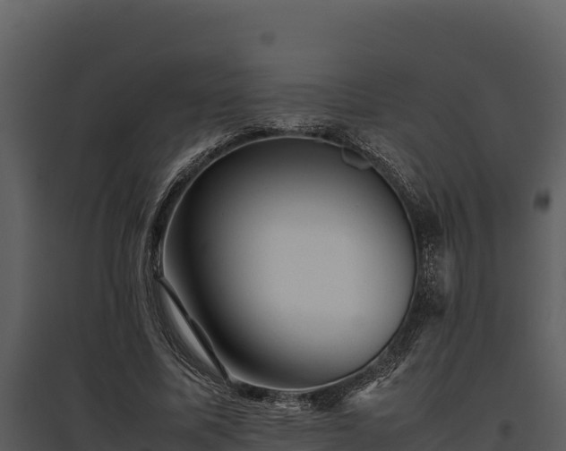 X0000095690587200801151150