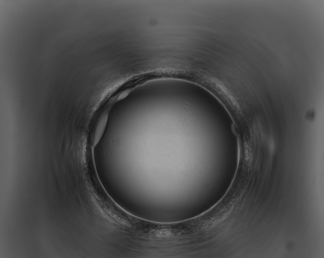 X0000095690588200801151150