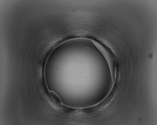 X0000095690589200801151150