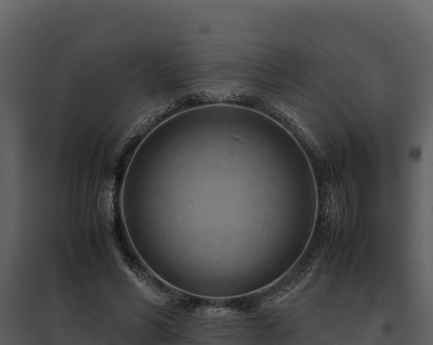 X0000095690590200801151150