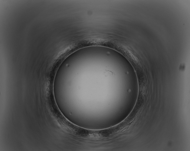 X0000095690591200801151150