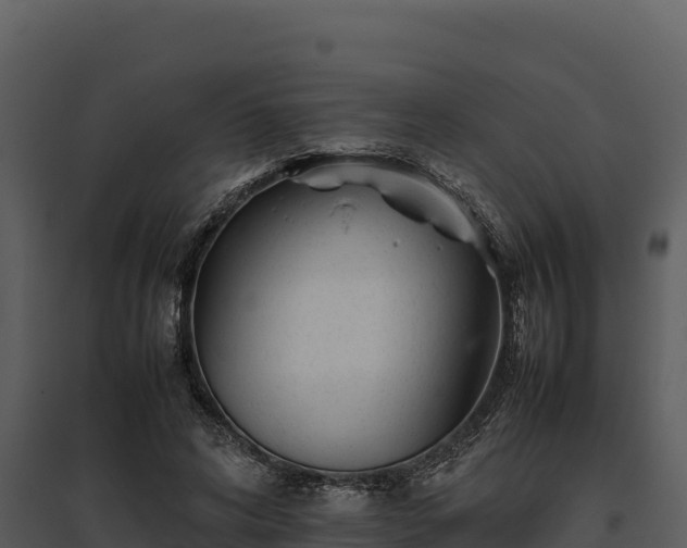 X0000095690592200801151150