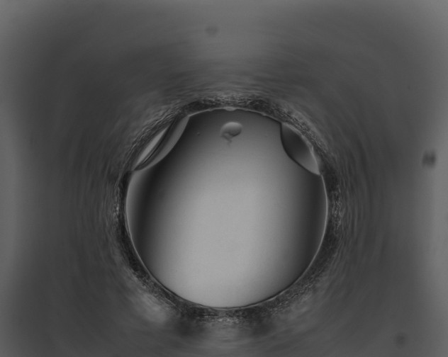 X0000095690593200801151150