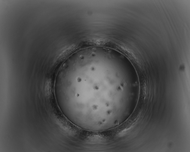 X0000095690594200801151150