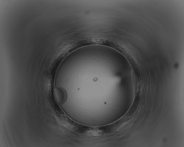 X0000095690595200801151150