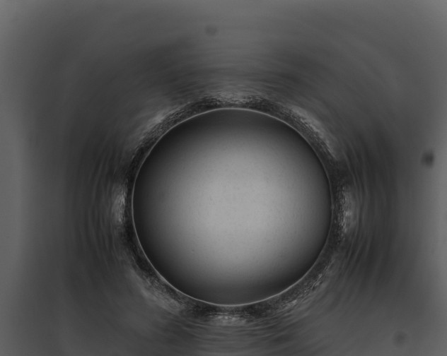 X0000095690596200801151150