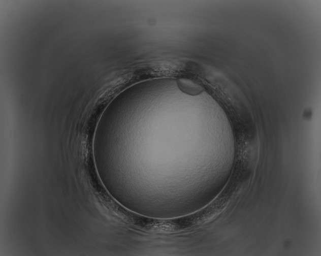 X0000095690599200801151150