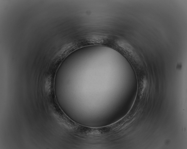 X0000095690600200801151150