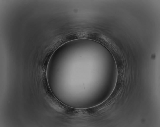 X0000095690601200801151150