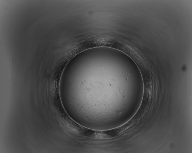X0000095690605200801151150