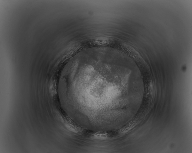 X0000095690606200801151150