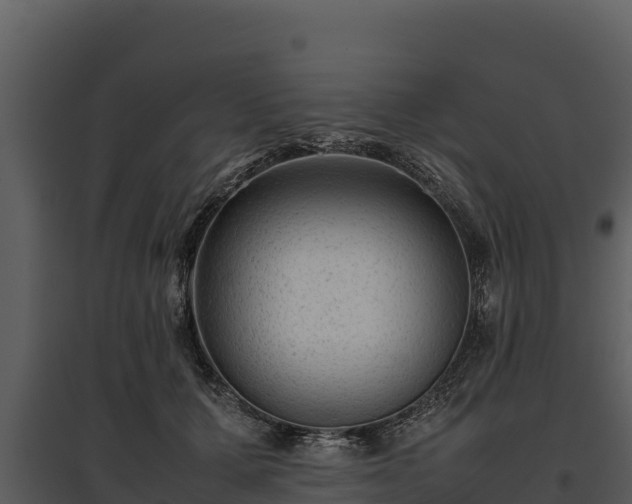 X0000095690607200801151150