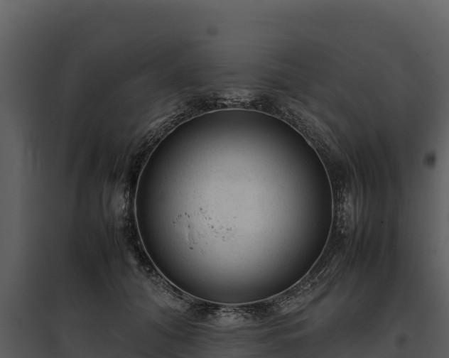 X0000095690608200801151150