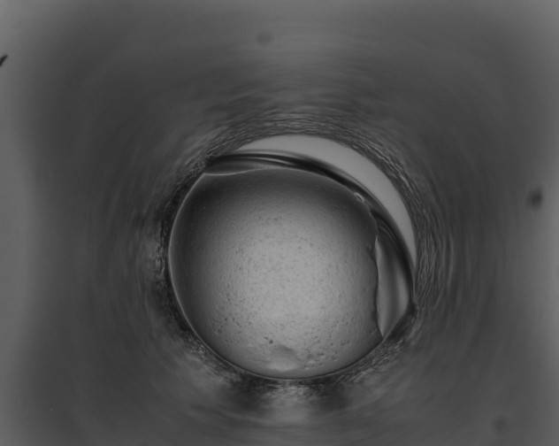 X0000095690609200801151150