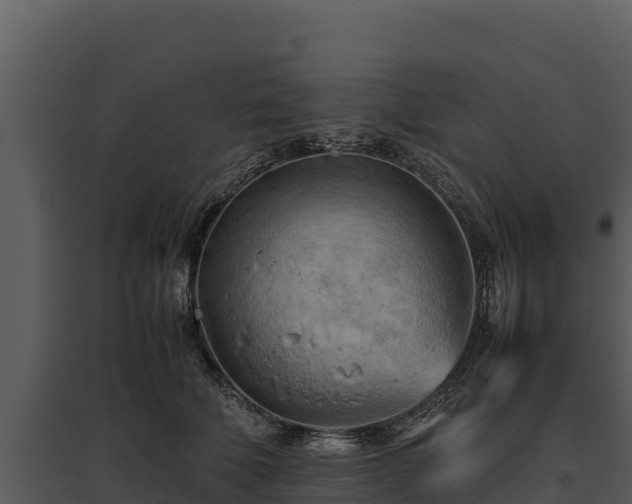 X0000095690610200801151150