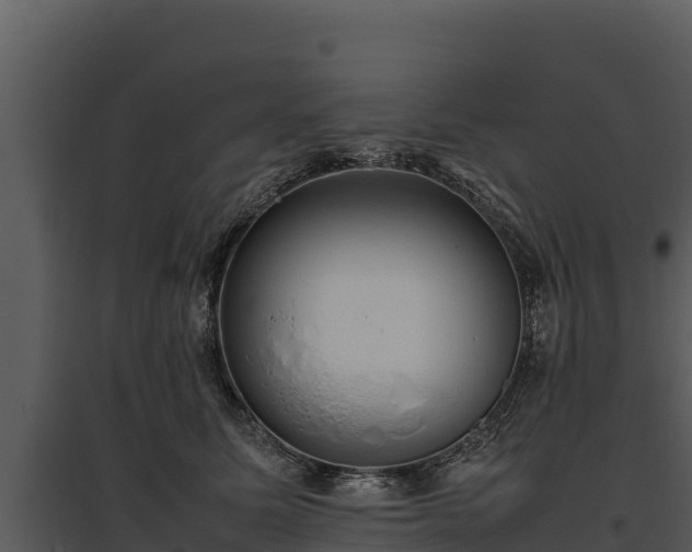 X0000095690611200801151150