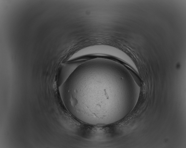 X0000095690613200801151150