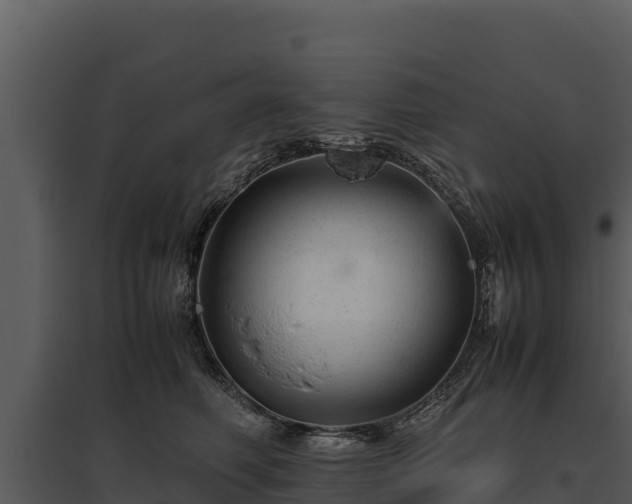 X0000095690614200801151150