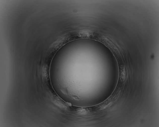 X0000095690616200801151150