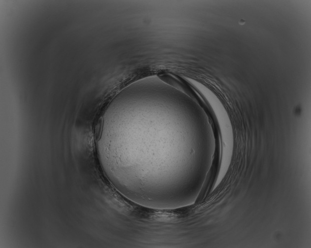 X0000095690617200801151150