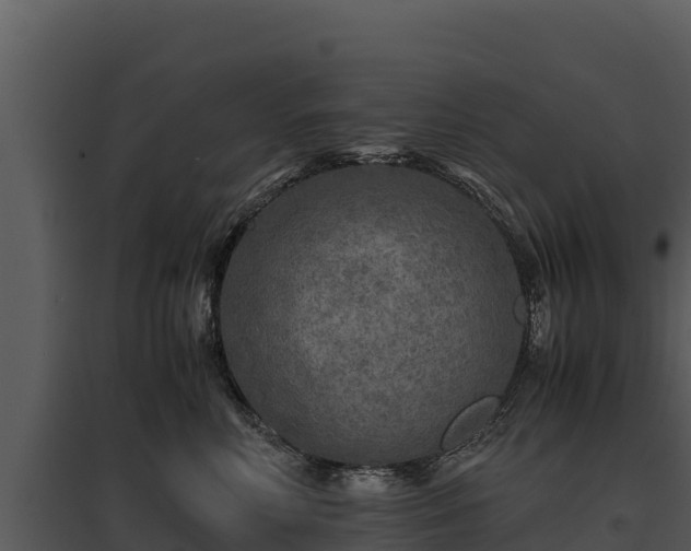 X0000095690618200801151150