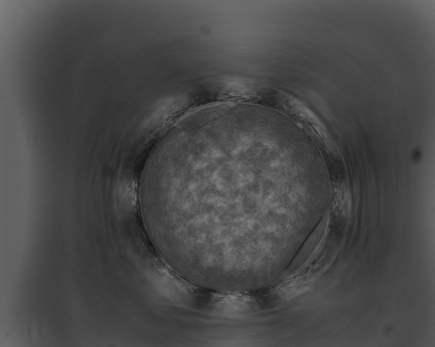 X0000095690621200801151150