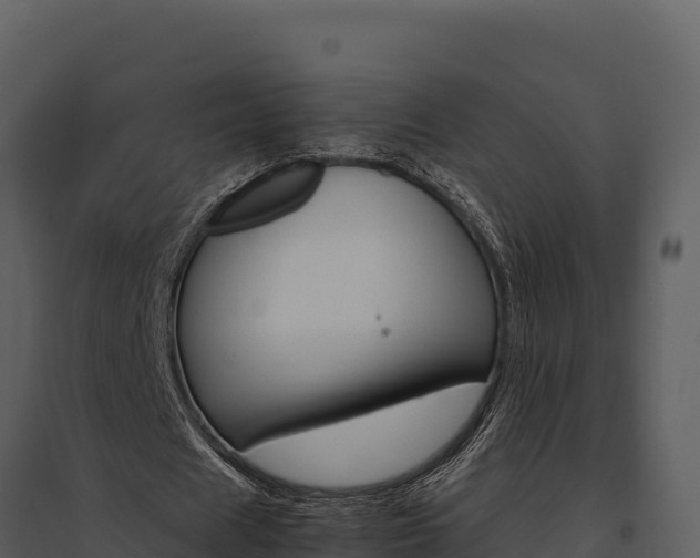 X0000095690625200801151149