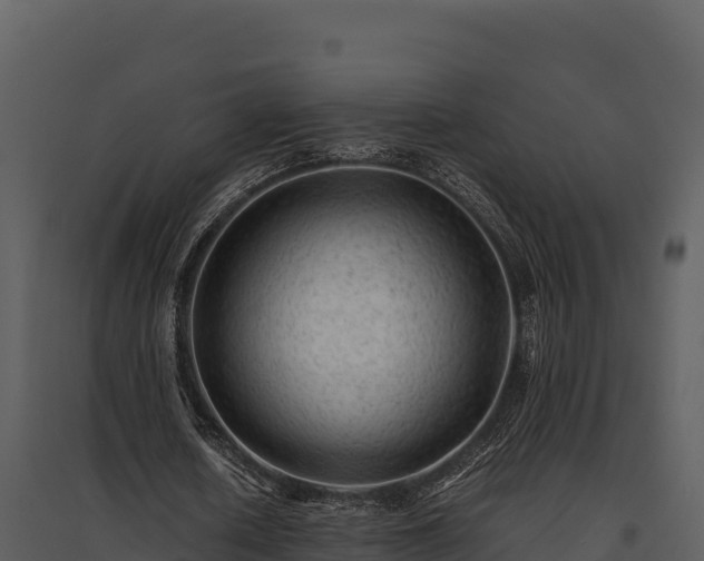 X0000095690626200801151149