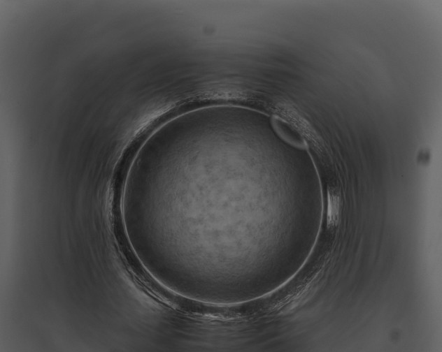 X0000095690627200801151149