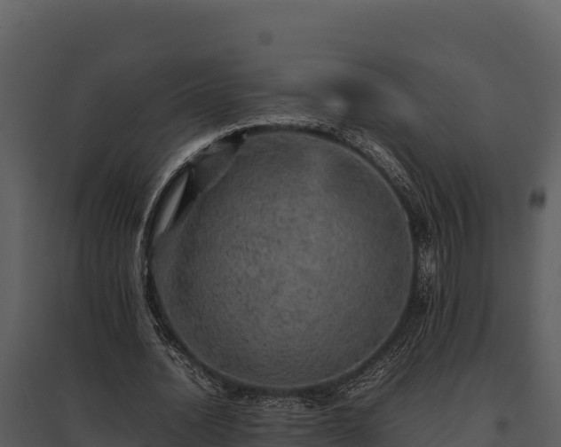 X0000095690628200801151149