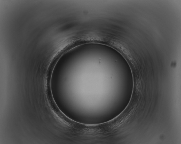 X0000095690629200801151149