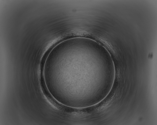 X0000095690630200801151149
